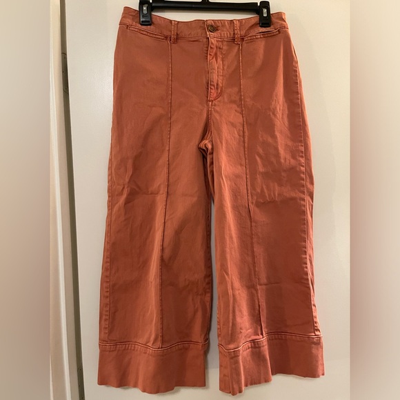 CHINO by Anthropologie Terracotta Wide Leg High Rise Pin-tucked Pants 6P - Picture 3 of 5